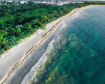 Aerial view of Playa del Carmen's Caribbean coastline in Riviera Maya, featuring white-sand beaches, lush tropical vegetation, and the natural beauty that makes the region a popular destination for Indian destination weddings in Mexico. Aerial view of Playa del Carmen's Caribbean coastline in Riviera Maya, featuring white-sand beaches, lush tropical vegetation, and the natural beauty that makes the region a popular destination for Indian destination weddings in Mexico.