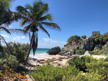 Palm-lined beach below the Tulum ruins in Mexico, showcasing the Caribbean coastline and natural beauty that have made Tulum a popular destination for weddings and vacations. Palm-lined beach below the Tulum ruins in Mexico, showcasing the Caribbean coastline and natural beauty that have made Tulum a popular destination for weddings and vacations.