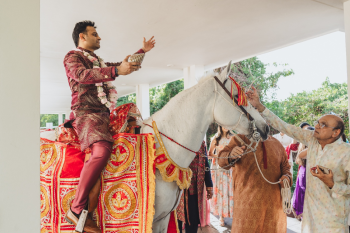 Groom arriving on a horse for a traditional Indian wedding baraat procession Groom arriving on a horse for a traditional Indian wedding baraat procession